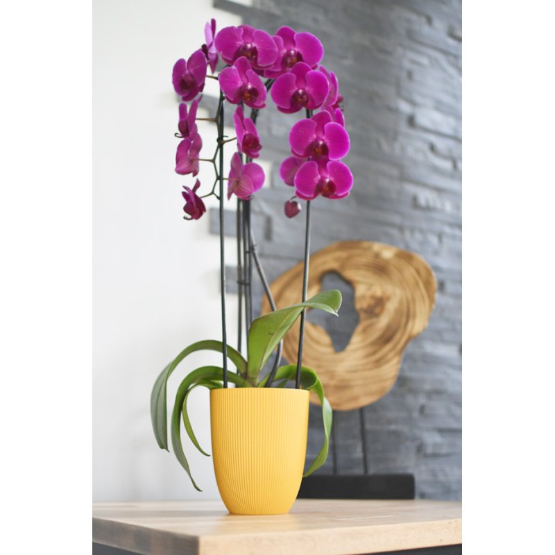 EDA pot de fleur IRIS, plastique, ivoire, 125 mm